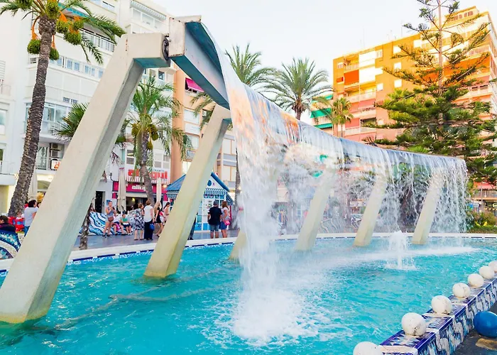 Tomillo Id178 Torrevieja