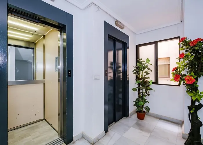 Tomillo Id178 * Torrevieja