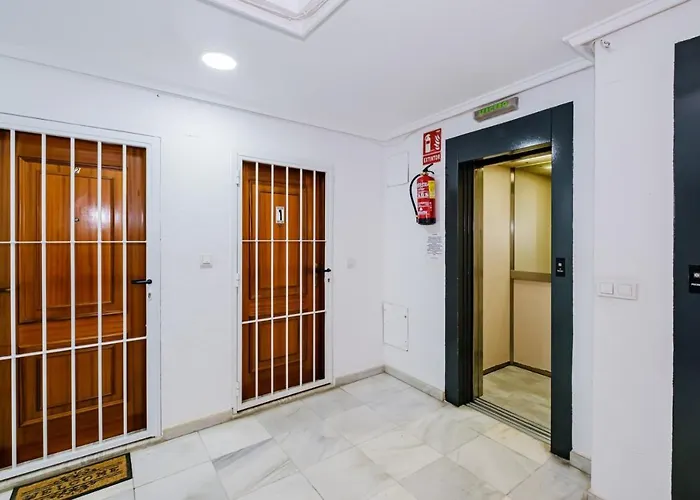 Tomillo Id178 Torrevieja